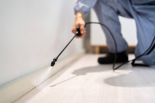 Licensed Pest Control service in Sheridan, IL - Show Me Pest Control