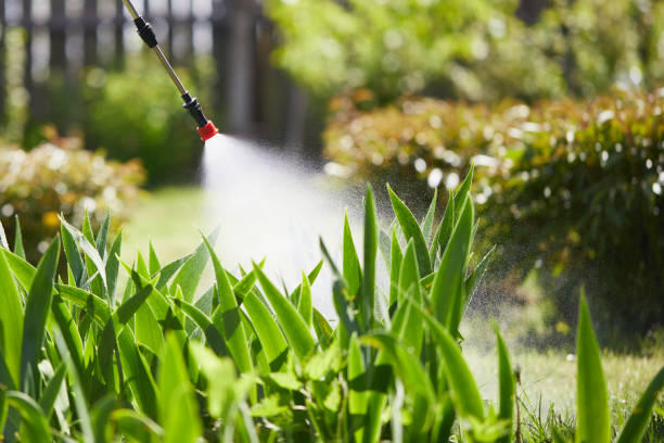 24/7 Emergency Wasp Removal experts in Sheridan, IL
