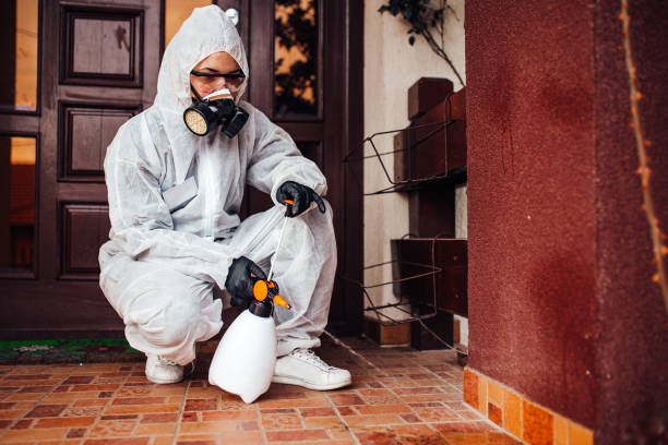 Reliable Wasp Removal contractor in Sheridan, IL by Show Me Pest Control