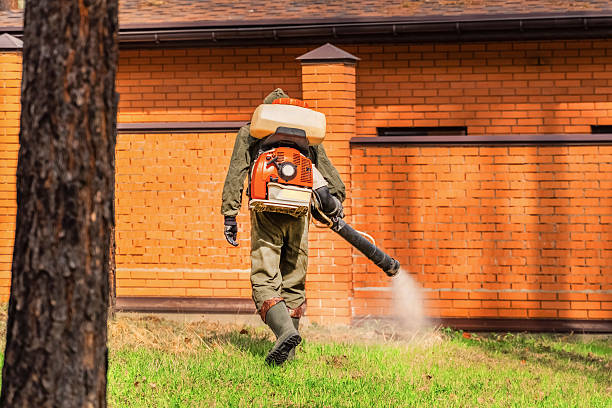 Top rated local Wasp Removal specialists in Sheridan, IL